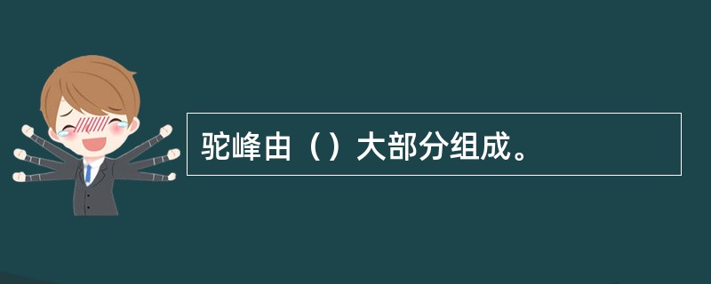 驼峰由（）大部分组成。