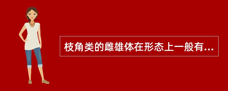 枝角类的雌雄体在形态上一般有哪些不同点？