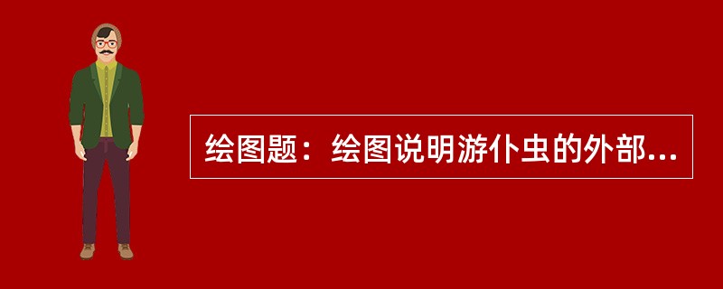 绘图题：绘图说明游仆虫的外部特征。