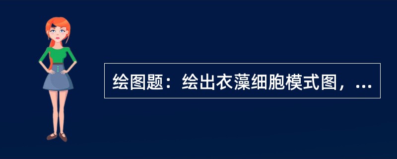 绘图题：绘出衣藻细胞模式图，并举例说明绿藻门的特点。