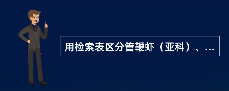 用检索表区分管鞭虾（亚科）、对虾（属）、仿对虾（属）、鹰爪虾（属）、新对虾（属）