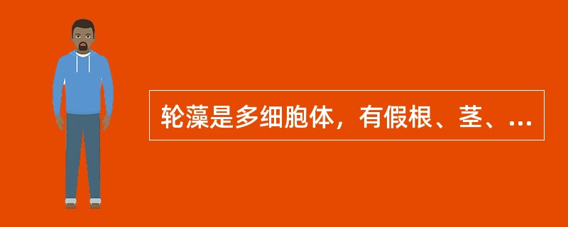 轮藻是多细胞体，有假根、茎、叶的分化，无维管束，雌雄生殖器官分别称为（）和（）。