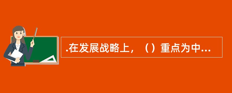 .在发展战略上，（）重点为中小企业提供综合金融服务。