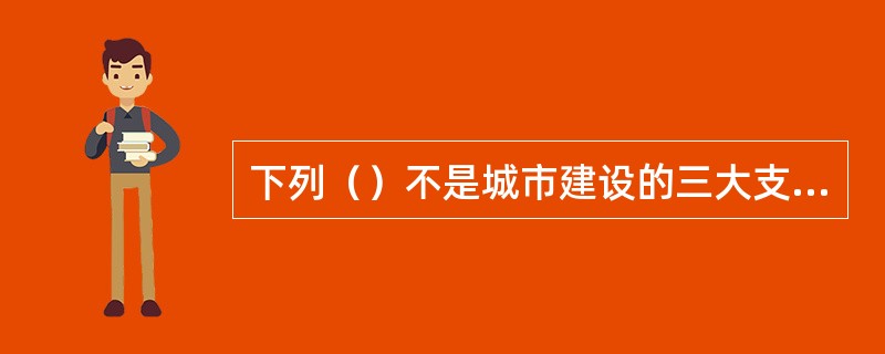 下列（）不是城市建设的三大支柱之一。