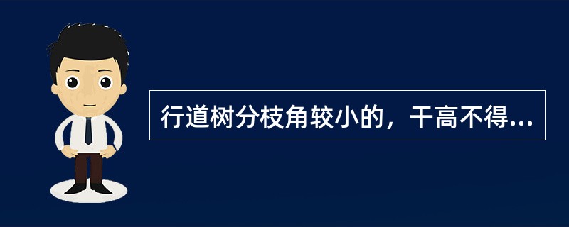 行道树分枝角较小的，干高不得小于（）。