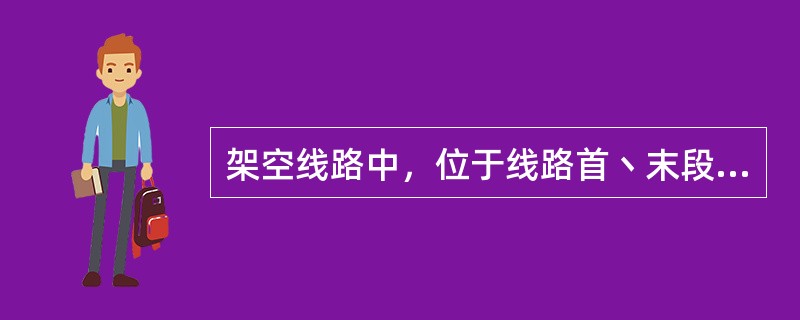 架空线路中，位于线路首丶末段端，发电厂或变电所出线的第一基杆塔以及线路最末端一基