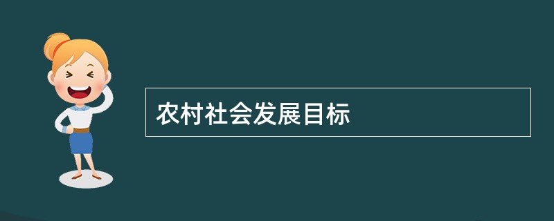 农村社会发展目标