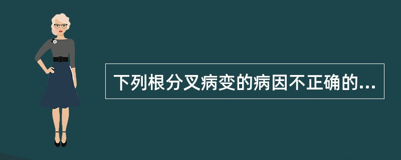 下列根分叉病变的病因不正确的是（）。