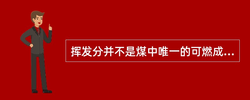 挥发分并不是煤中唯一的可燃成分。