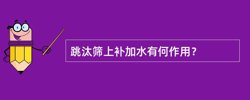 跳汰筛上补加水有何作用？