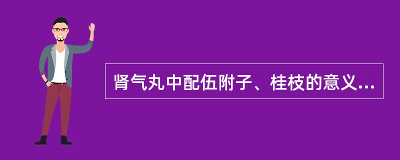 肾气丸中配伍附子、桂枝的意义是（）。