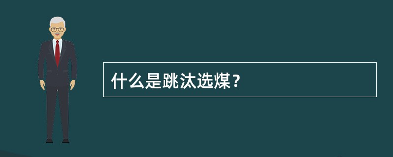 什么是跳汰选煤？