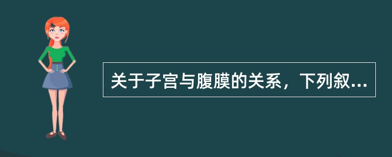 关于子宫与腹膜的关系，下列叙述正确的是（）。