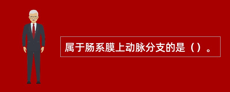 属于肠系膜上动脉分支的是（）。