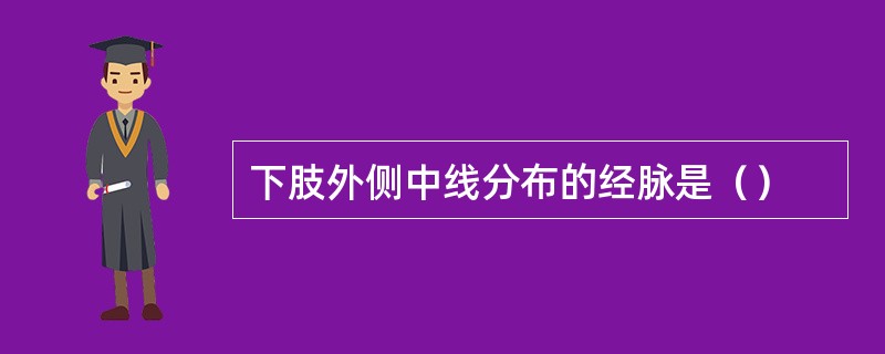 下肢外侧中线分布的经脉是（）