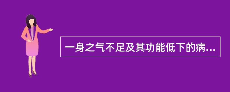 一身之气不足及其功能低下的病理状态是（）