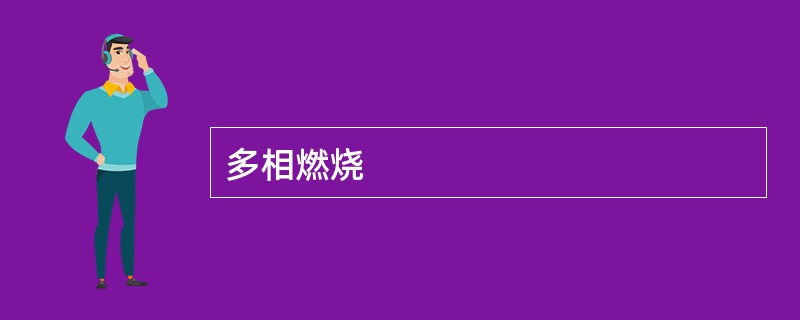 多相燃烧