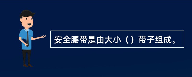 安全腰带是由大小（）带子组成。