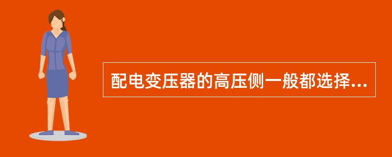 配电变压器的高压侧一般都选择（）作为防雷用保护装置。