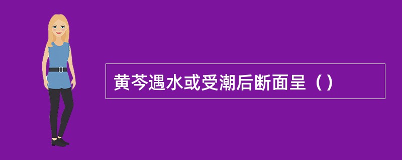 黄芩遇水或受潮后断面呈（）