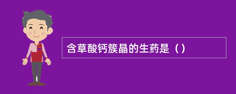 含草酸钙簇晶的生药是（）