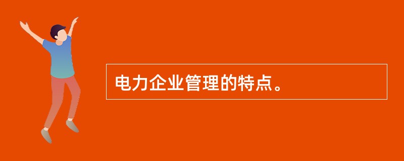 电力企业管理的特点。