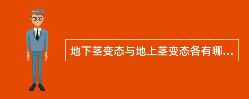 地下茎变态与地上茎变态各有哪些类型？