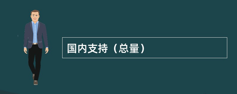 国内支持（总量）