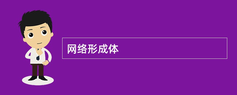 网络形成体