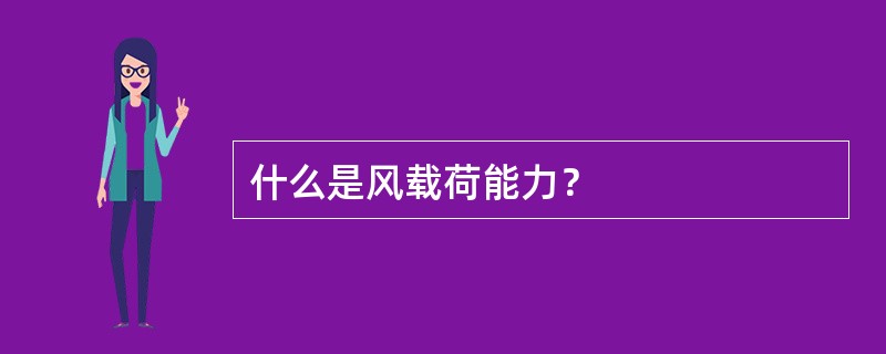 什么是风载荷能力？