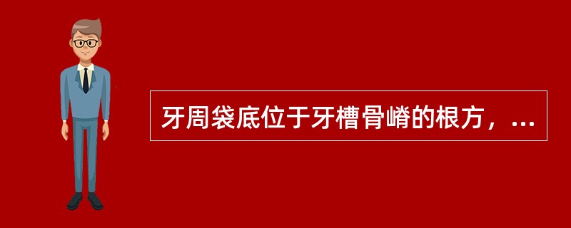 牙周袋底位于牙槽骨嵴的根方，牙槽骨为垂直型吸收的是（）