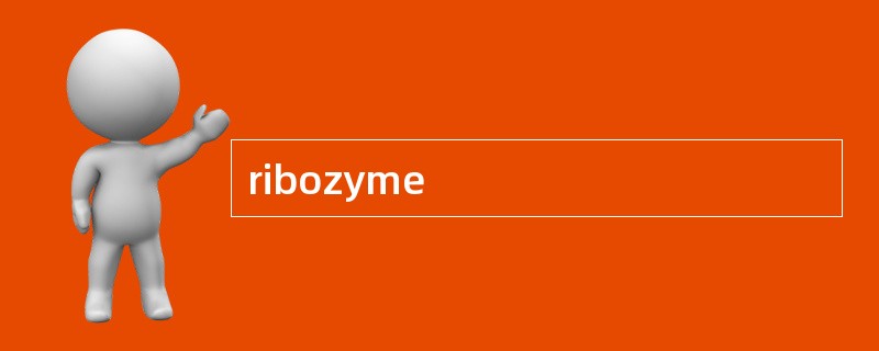 ribozyme