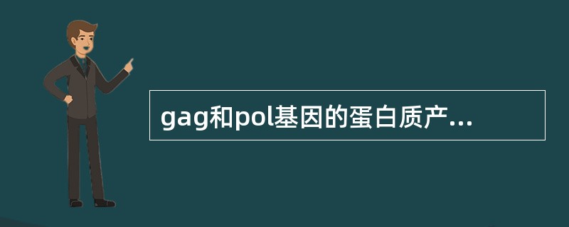 gag和pol基因的蛋白质产物是怎样生成的？mRNA编码的Env蛋白是怎样生成的