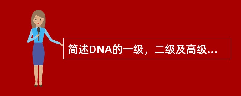 简述DNA的一级，二级及高级结构。
