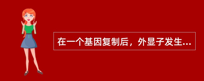 在一个基因复制后，外显子发生突变的概率比内含子小。但是，所有DNA的突变率是相同
