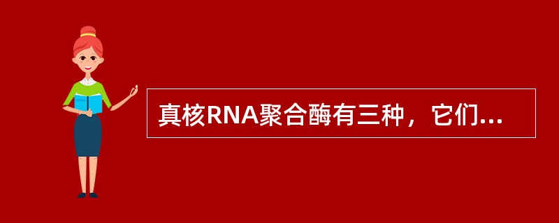 真核RNA聚合酶有三种，它们分别是什么酶？它们的转录产物分别是什么？