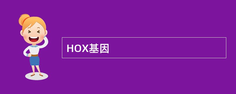 HOX基因