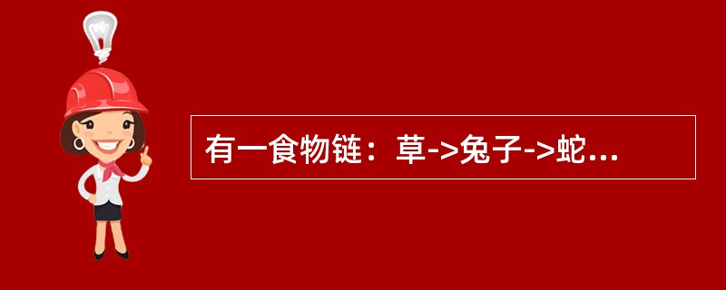 有一食物链：草->兔子->蛇->鹰，下列说法正确的是（）