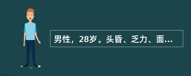 男性，28岁。头昏、乏力、面色苍白2年余。化验：RBC3．0×1012／L，Hb