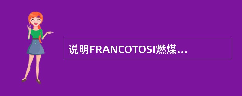 说明FRANCOTOSI燃煤锅炉水平烟道及后部烟道过热器的管子组成尺寸及管材。