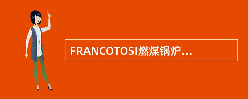 FRANCOTOSI燃煤锅炉过热器共分为哪几个部分？