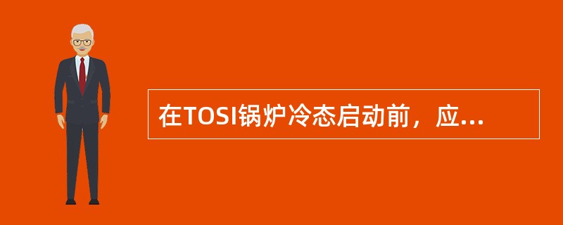 在TOSI锅炉冷态启动前，应如何进行炉本体的外部检查？