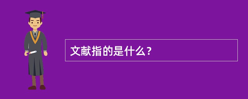 文献指的是什么？