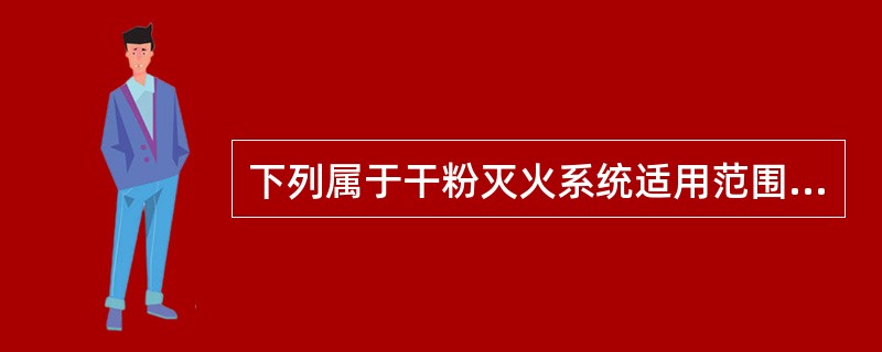 下列属于干粉灭火系统适用范围的是（）。