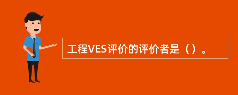 工程VES评价的评价者是（）。
