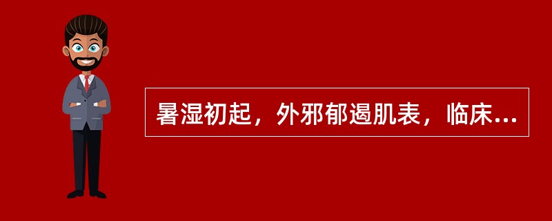 暑湿初起，外邪郁遏肌表，临床表现有：（）