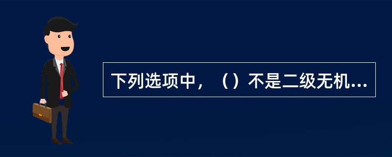 下列选项中，（）不是二级无机酸腐蚀物。