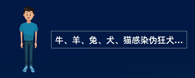 牛、羊、兔、犬、猫感染伪狂犬后，最主要的外观可见症状是（）。