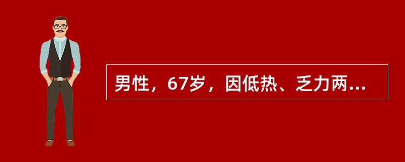 男性，67岁，因低热、乏力两月余就诊。两侧颈部可触及多个蚕豆大小淋巴结，脾肋下2