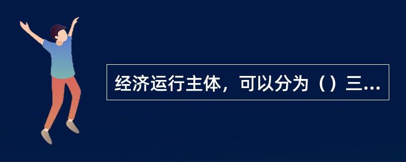 经济运行主体，可以分为（）三个层面。